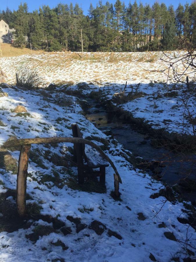 Lewis Lodge Perth Eksteriør billede